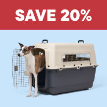 Dog - Top Deals Callout 6