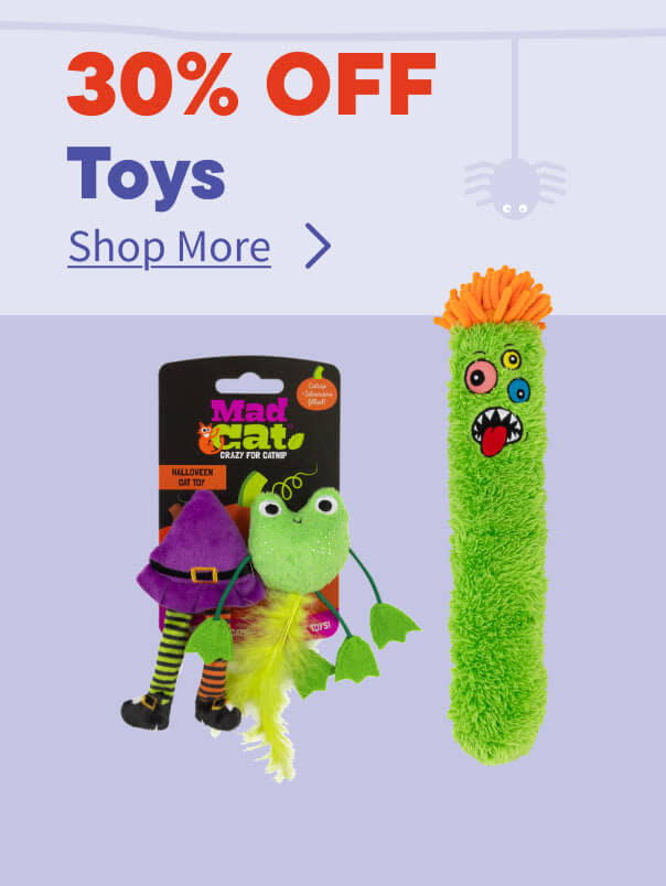 Halloween Toys