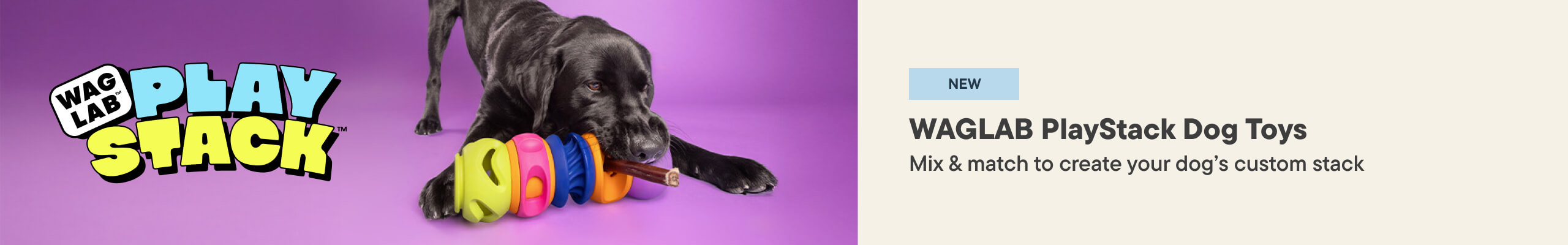 WAGLAB Hero Banner