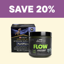 Dog Flyer 1 - Save 20%