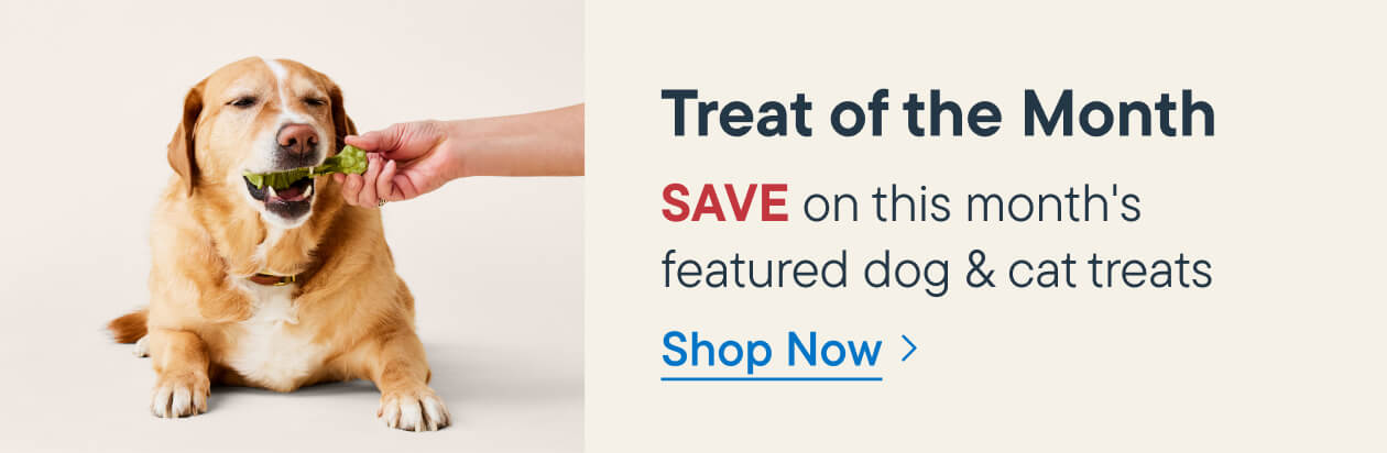 Treat of the month, save on this month's featured dog and cat treats