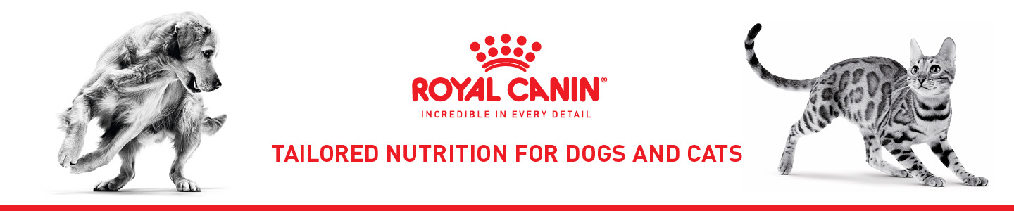 Royal Canin Banner