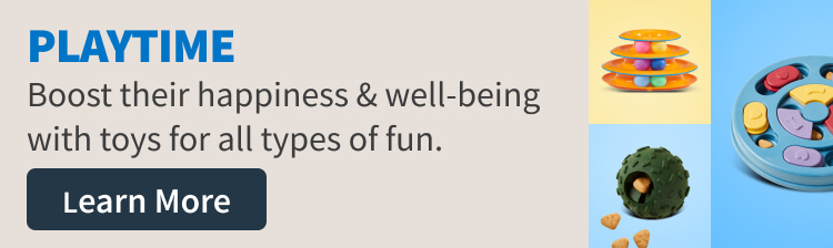 Playtime. Boost their happiness and well being with toys for all types of fun. Shop Now