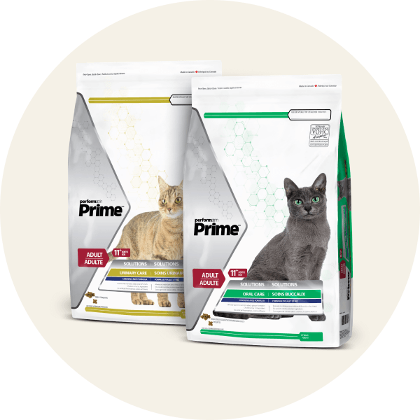 Performatrin Prime Dry Cat Food