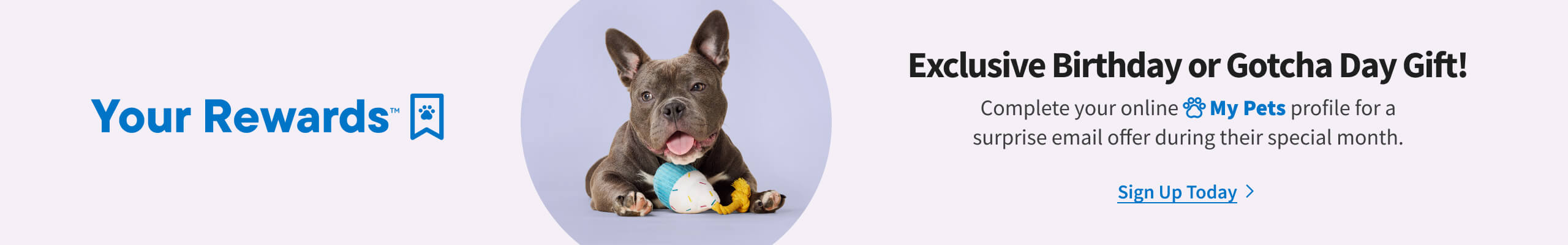 Pet Profile Sign Up