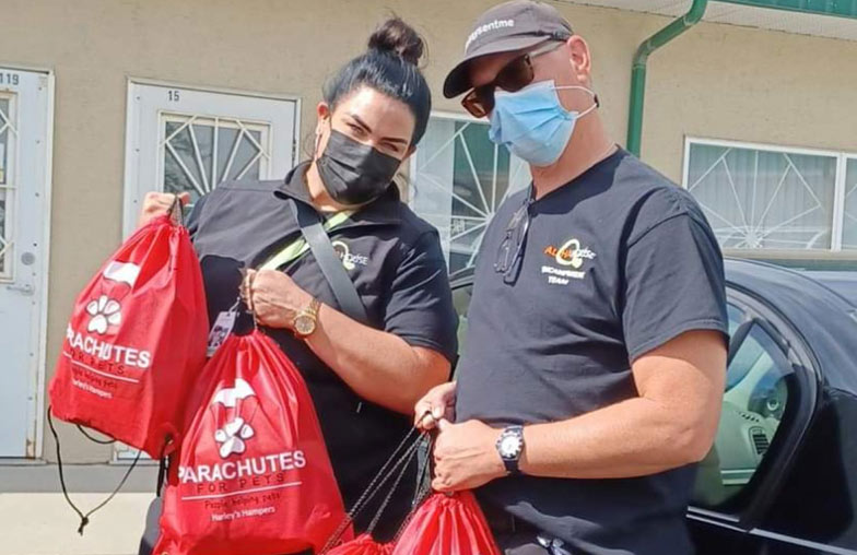 These organizations are on a mission to support animal welfare in groundbreaking ways hero image