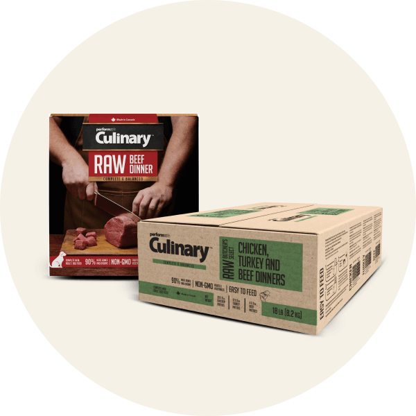 Frozen Raw Dog Food