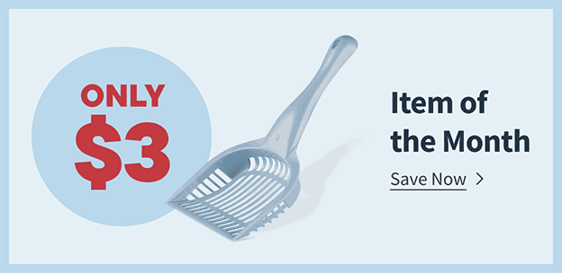 Item of the Month - Save Now
