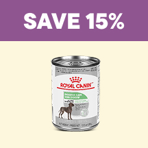 Dog Flyer 1 - Save 15%