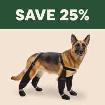 Canada Pooch Suspender Long Black Boots Pet Valu