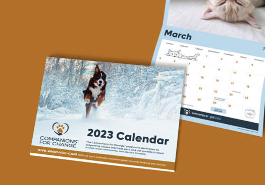 Companions For Change - Calendar 2023