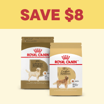 Dog Megamenu Callout 3 - Save $8