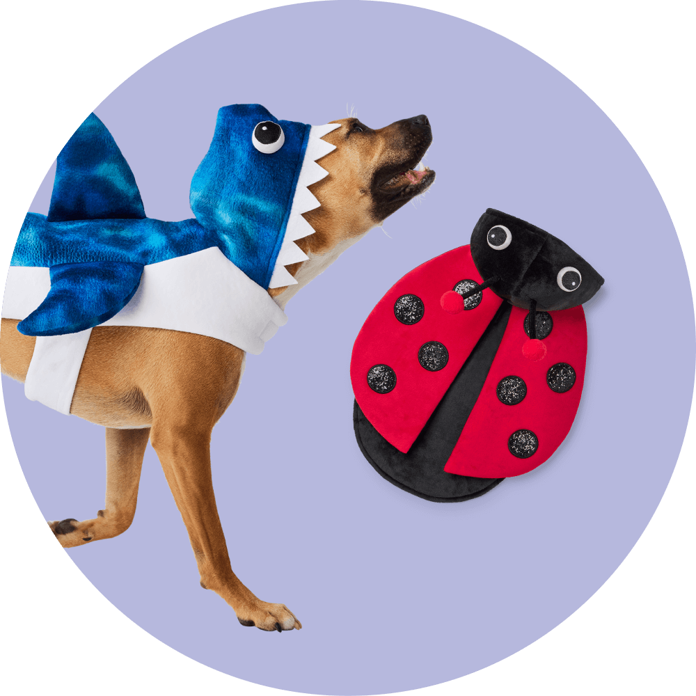 Dog life jacket pet valu best sale