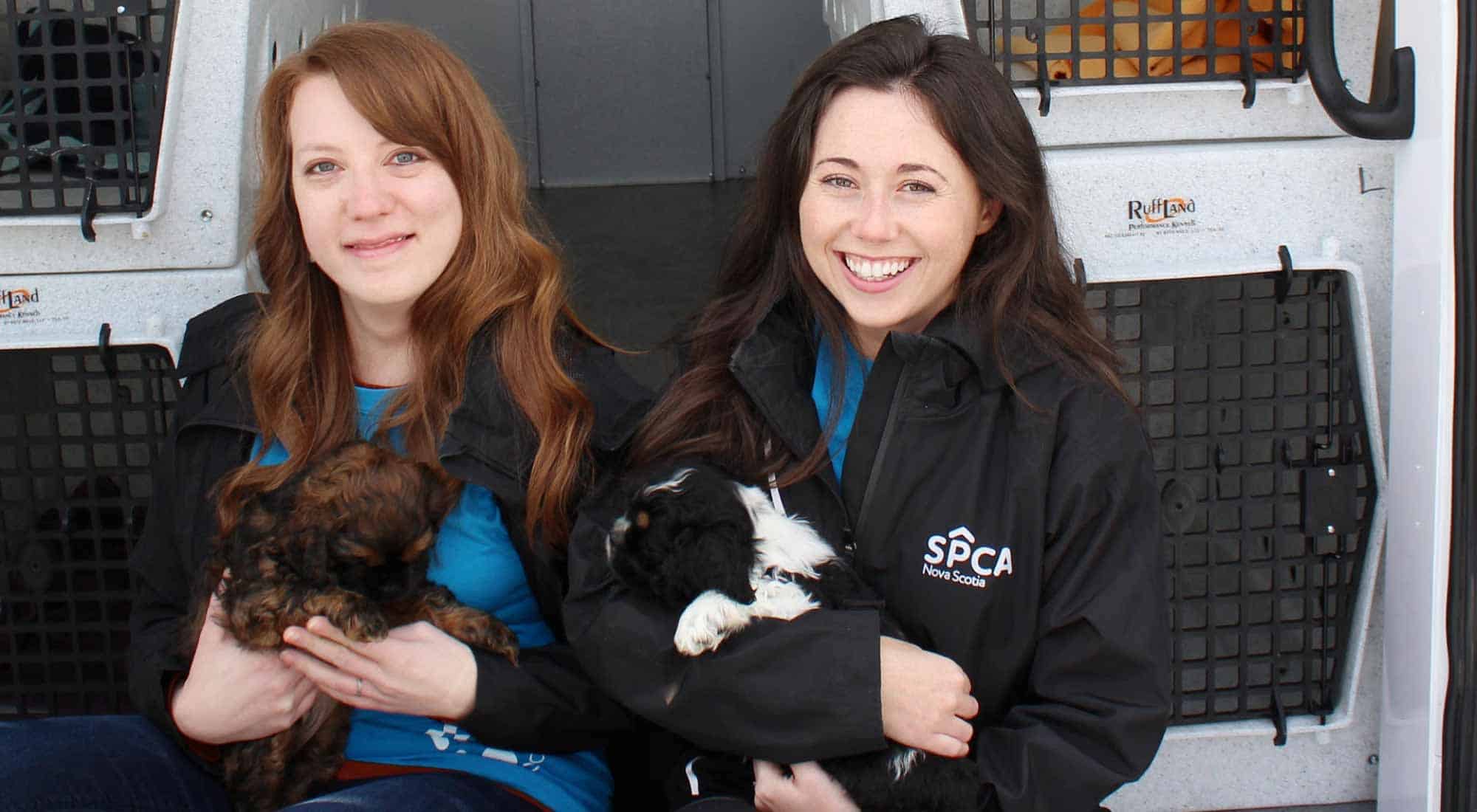 about companions for change - women holding a dog