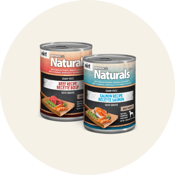 Performatrin Naturals Wet Dog Food