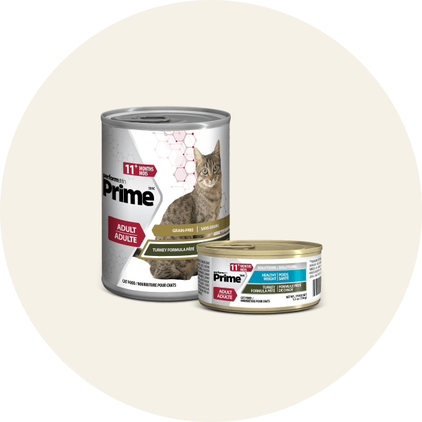 Performatrin Prime Wet Cat Food