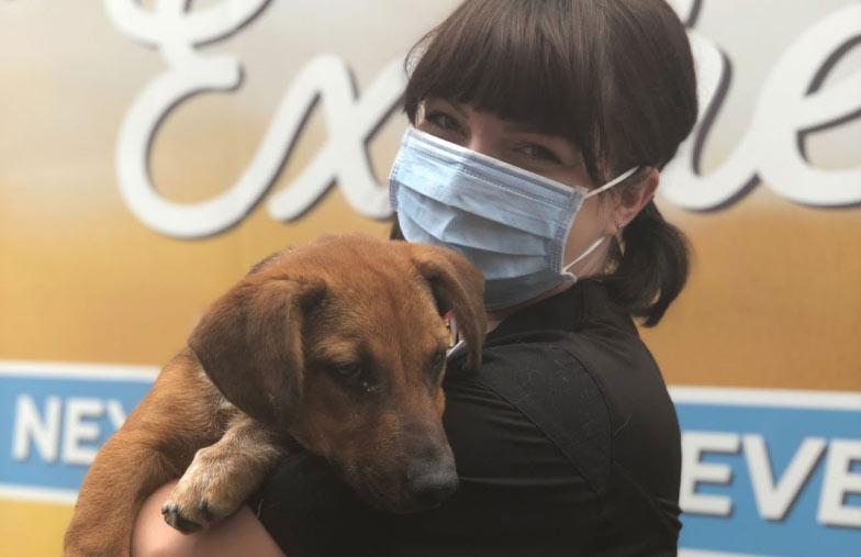 Beyond shelter: Canadian animal welfare groups are also enhancing pet health and wellness care hero image