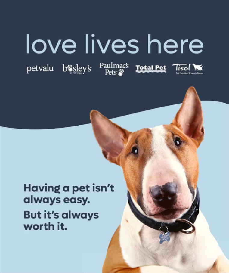 Love Lives Here - Pet Valu