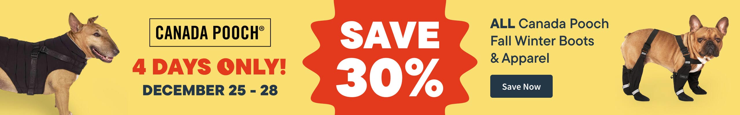 Canada Pooch - 4 day offer - Shop Now