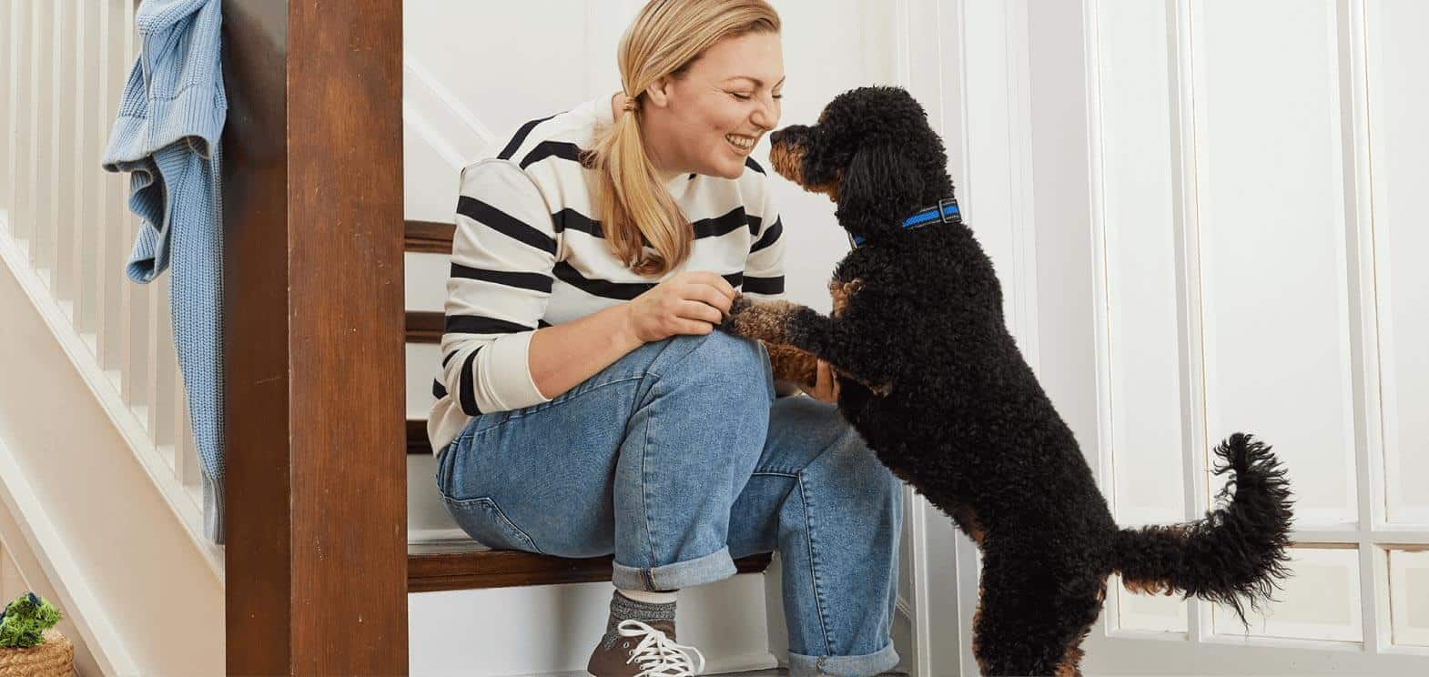 Moving with pets. How to ease your furry friend’s transition from one home to another