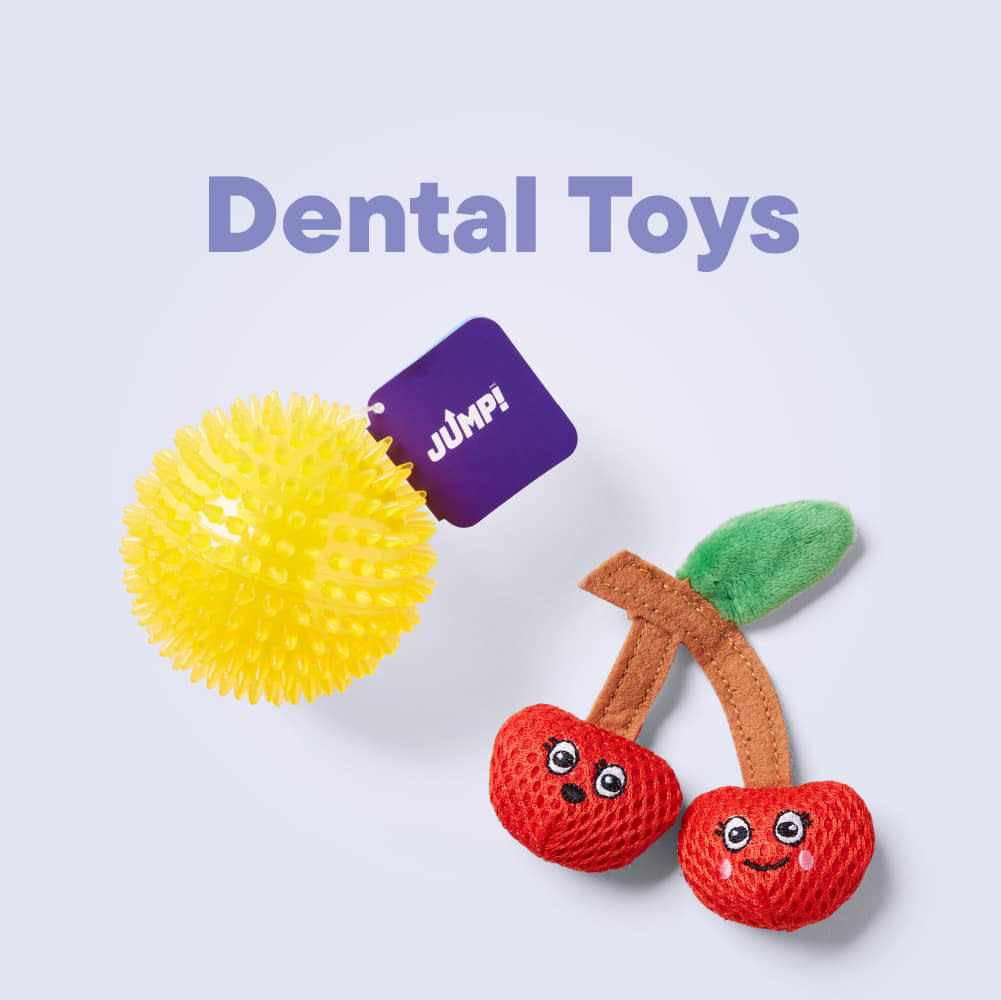 Dental Toys