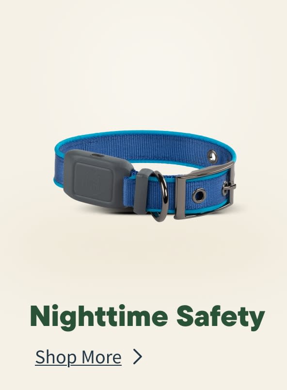 Fall Nightime Safety