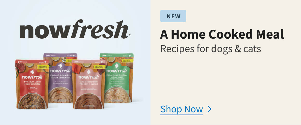 Now Fresh Promo.