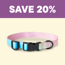 Dog  Flyer 2 - Save 20%