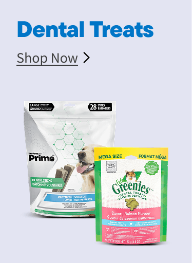 Dental Treats