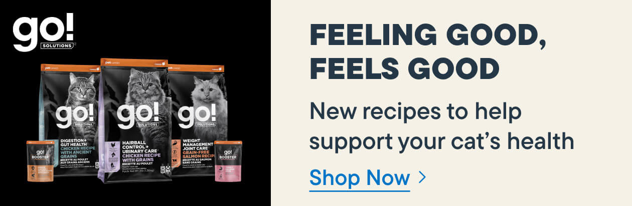 Go Solutions. Feeling Good, Feels Good. New recipes to help support your cat's health - Shop Now