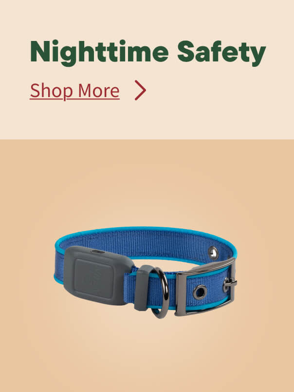Fall Nightime Safety