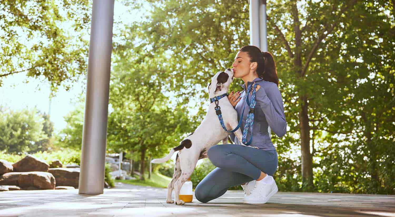 Dog licking the owner outdoors