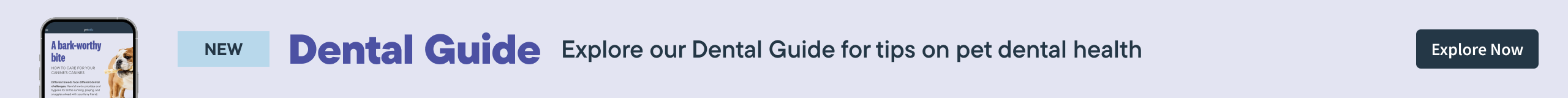 Dental Guide