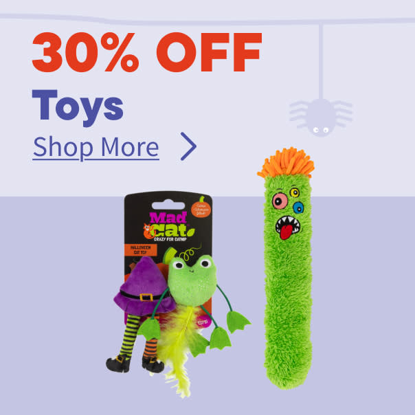 Halloween Toys