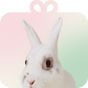 Shop by Pet - Small Pet