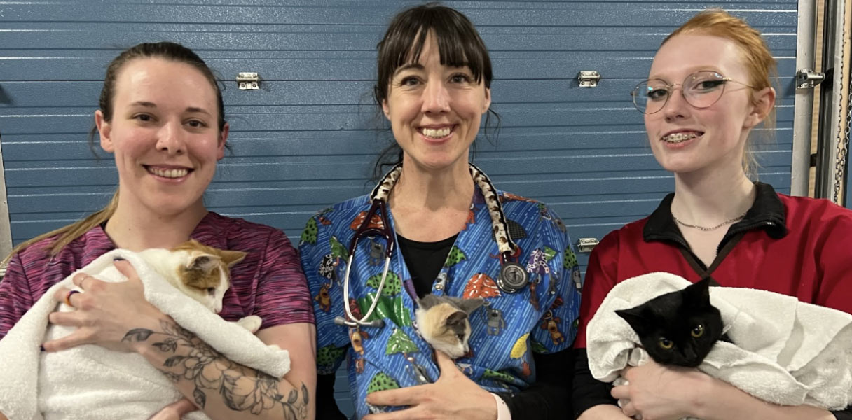 Three women hold cats swaddled in towels