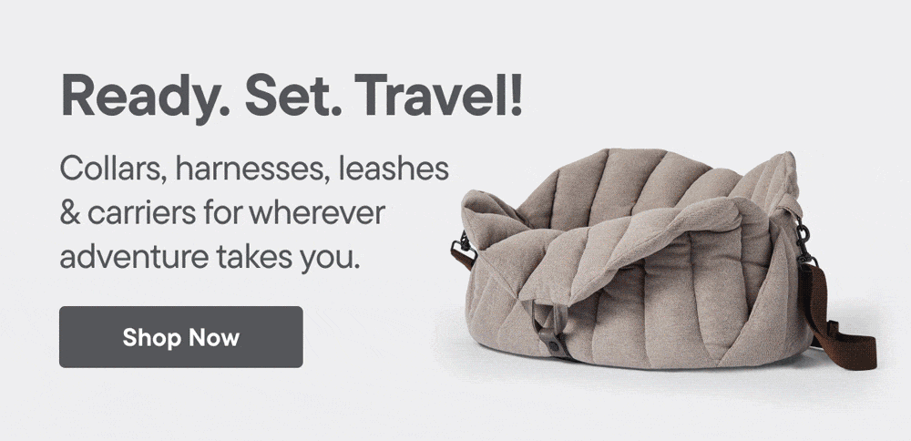 Bailey & Bella - Ready. Set. Travel! Collars, harnesses, leashes & carriers for wherever adventure takes you. Shop Now