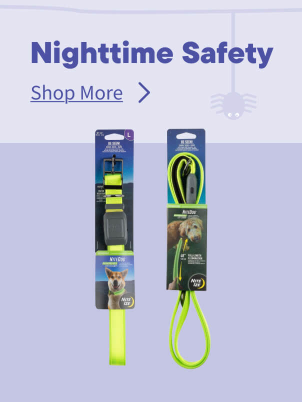 Halloween Nightime Safety
