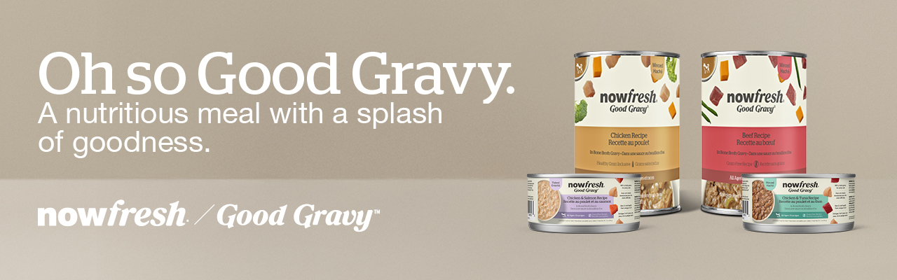 Oh so Good Gravy - nowfresh/Good Gravy