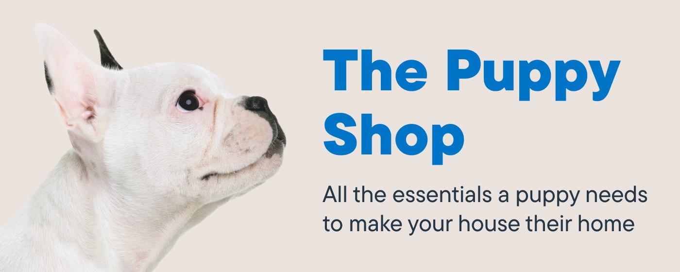 The Puppy Shop hero banner
