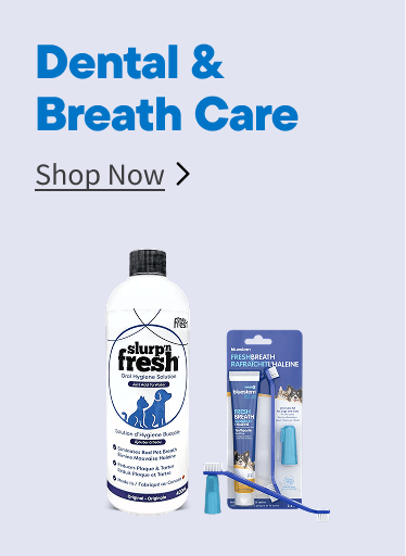 Dental and Breath Care