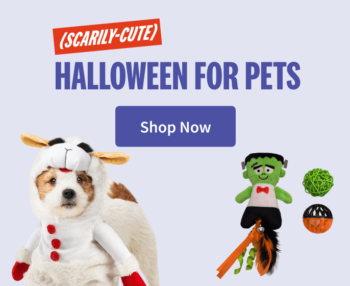 Scarily-Cute Halloween for Pets. Shop Now