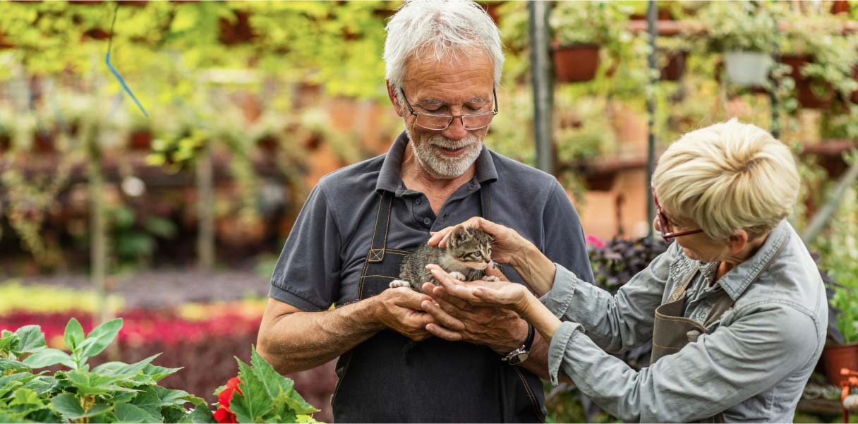 A man and woman in their sixties enjoy holding and smiling at a cat