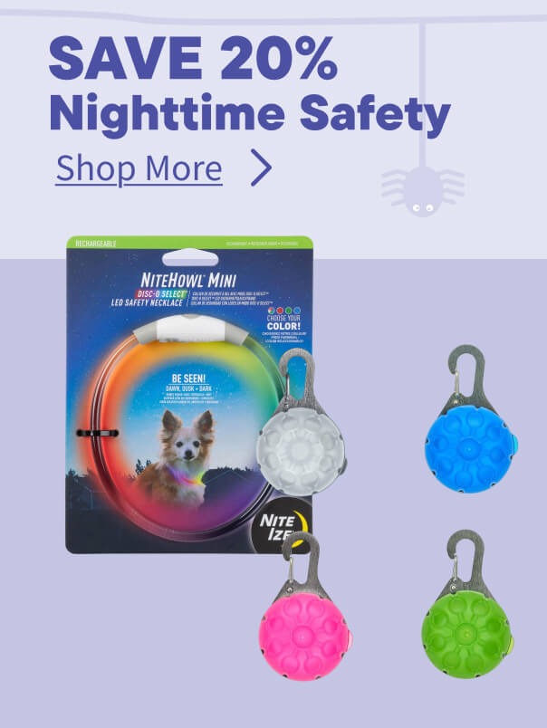 Halloween Nightime Safety