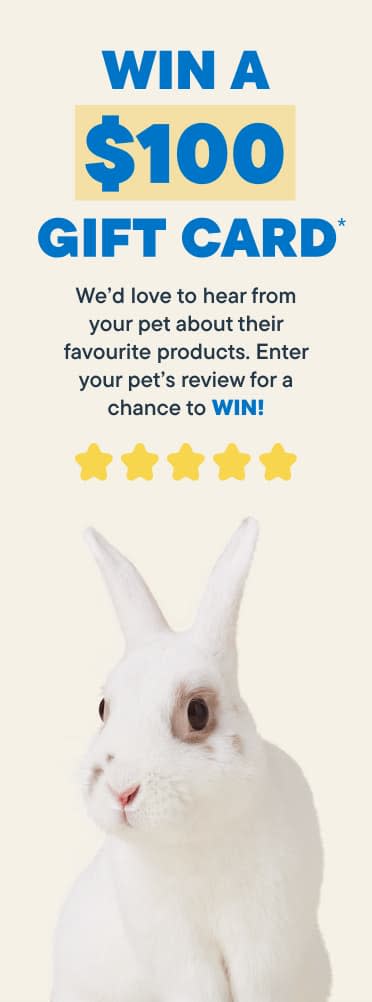 Review Contest Banner Small Pet