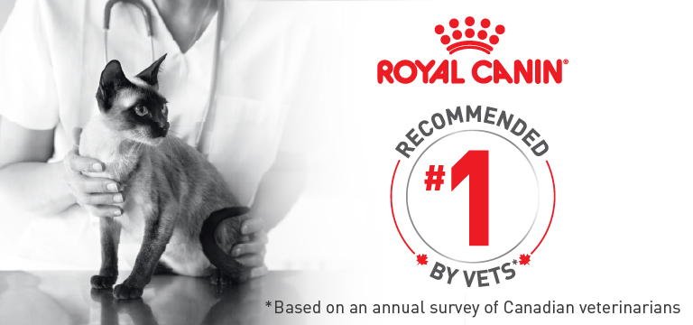 Royal Canin - Recommended # 1 - Based on an annual survey of Canadian veterinarians