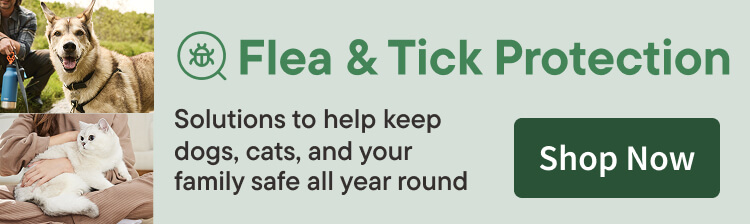 Flea and Tick Protection. Shop Now.