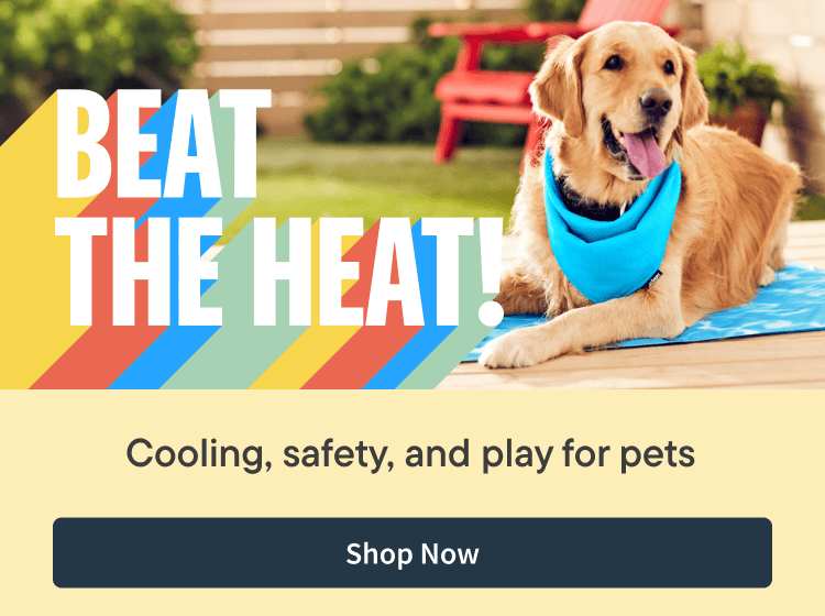 Summer Essentials, Cooling & Outdoor fun for pets this season