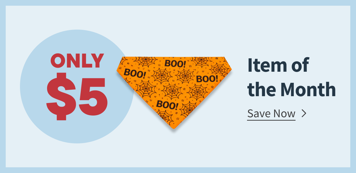Item of the Month - Save Now