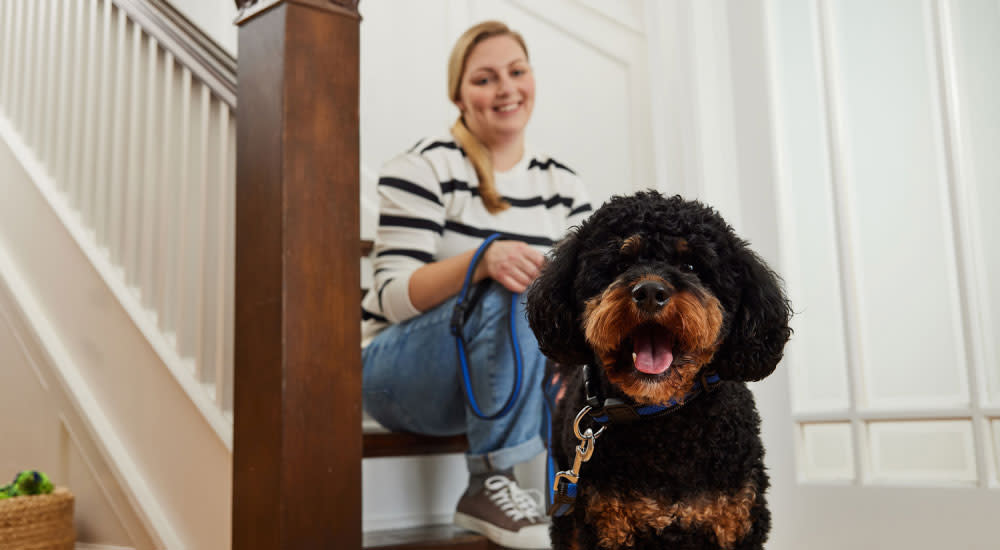 Supplements for mental and physical well being - Woman with her dog